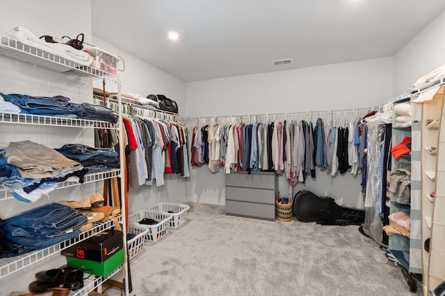 spacious closet with carpet