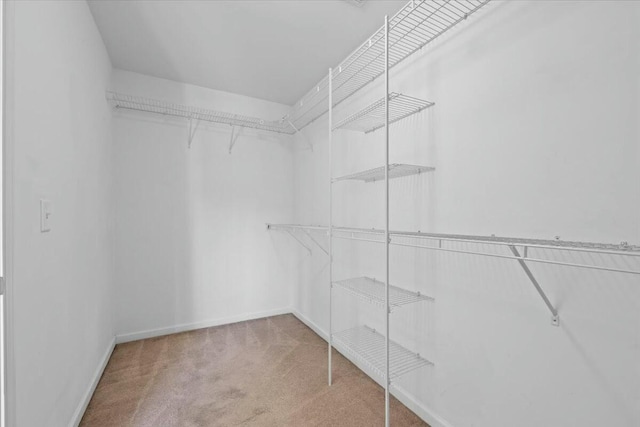 walk in closet with carpet flooring