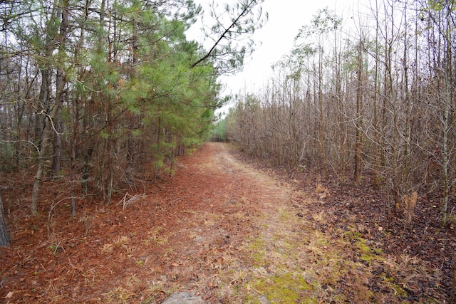 0 Deliverance Dr, Eutawville, SC 29048