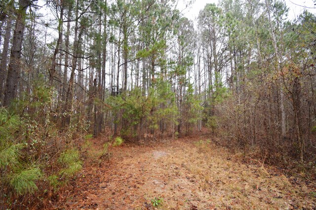 0 Deliverance Dr, Eutawville, SC 29048