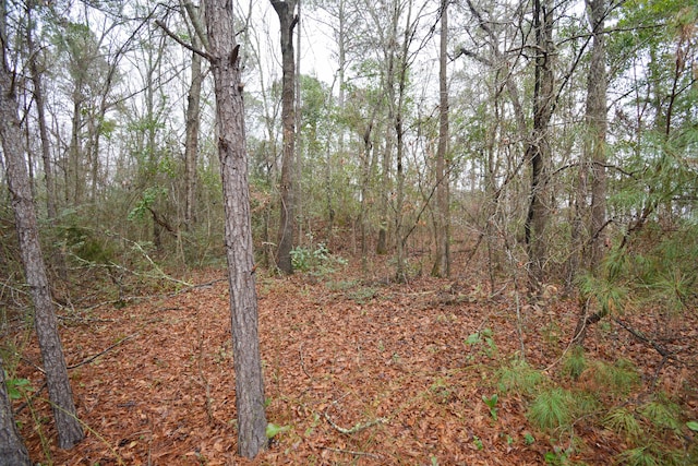 0 Deliverance Dr, Eutawville, SC 29048