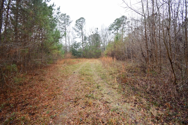0 Deliverance Dr, Eutawville, SC 29048