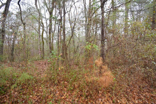 0 Deliverance Dr, Eutawville, SC 29048