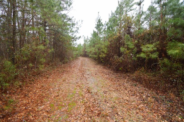 0 Deliverance Dr, Eutawville, SC 29048