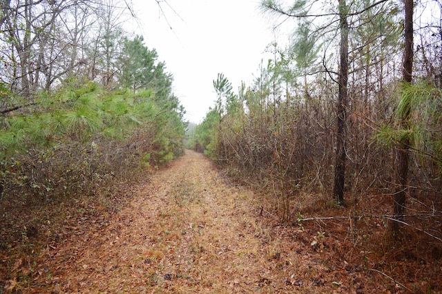 0 Deliverance Dr, Eutawville, SC 29048