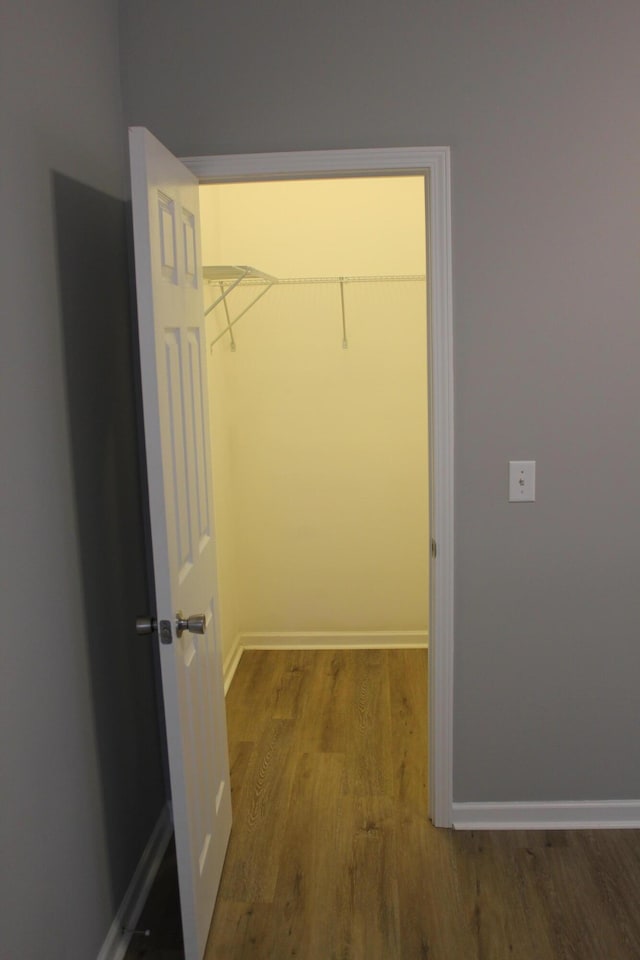 spacious closet with hardwood / wood-style flooring