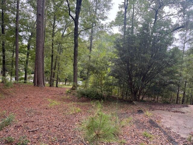 1070 Sanoree Dr, Santee SC, 29142 land for sale