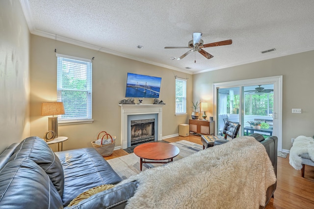 1972 Gray Battery Ct, Mount Pleasant, SC 29464 - living area featuring ceiling fan, plenty of natural light, wood finished floors, a textured ceiling, and ornamental molding