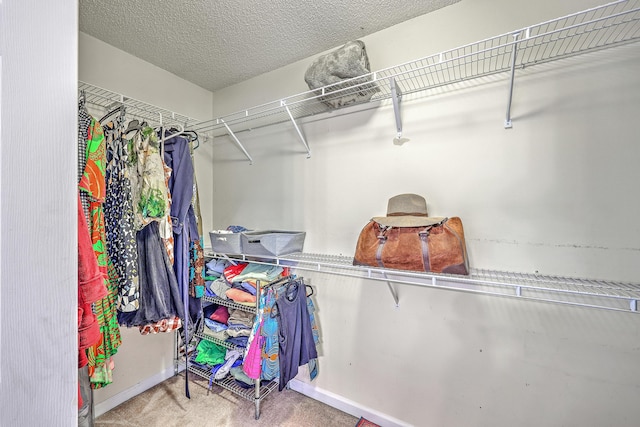 1972 Gray Battery Ct, Mount Pleasant, SC 29464 - walk in closet with carpet flooring