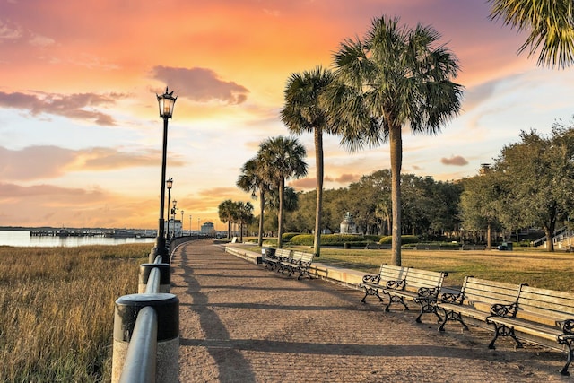101 Hanover St, Charleston, SC 29403 - view of community with a water view