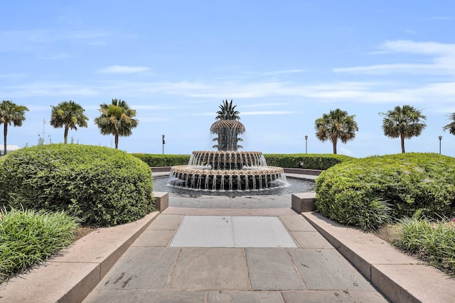 101 Hanover St, Charleston, SC 29403 - view of home's community