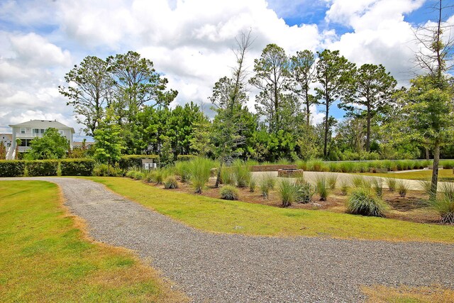 surrounding community featuring gravel driveway