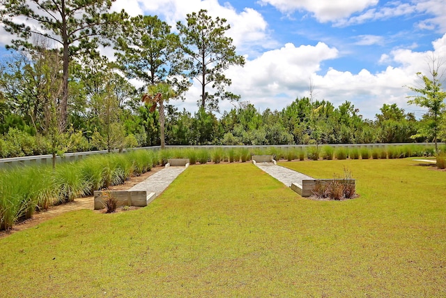 view of green lawn