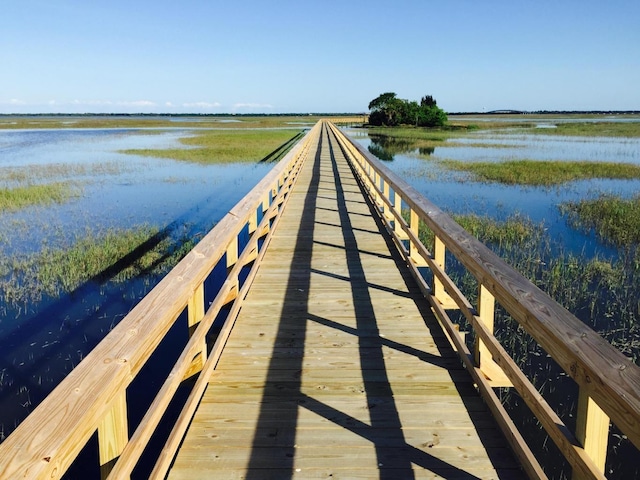 dock area with a water view