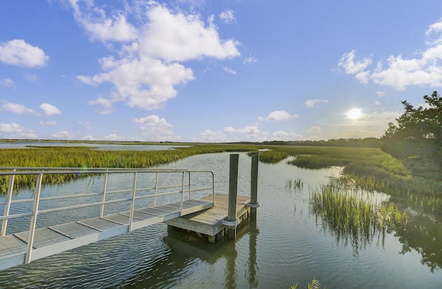 dock area with a water view