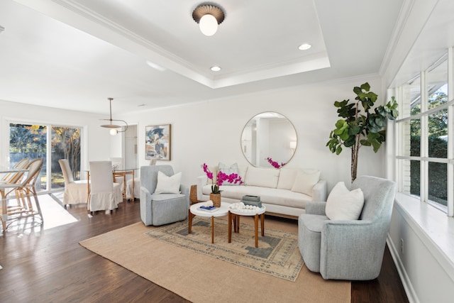 living room with ornamental molding, a tray ceiling, and dark wood-type flooring