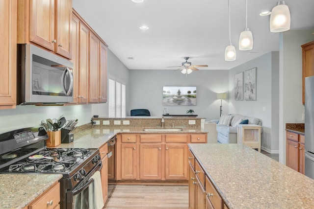 5433 Falling Tide, North Charleston, SC 29420 - kitchen featuring stainless steel appliances, a sink, ceiling fan, open floor plan, and light wood finished floors