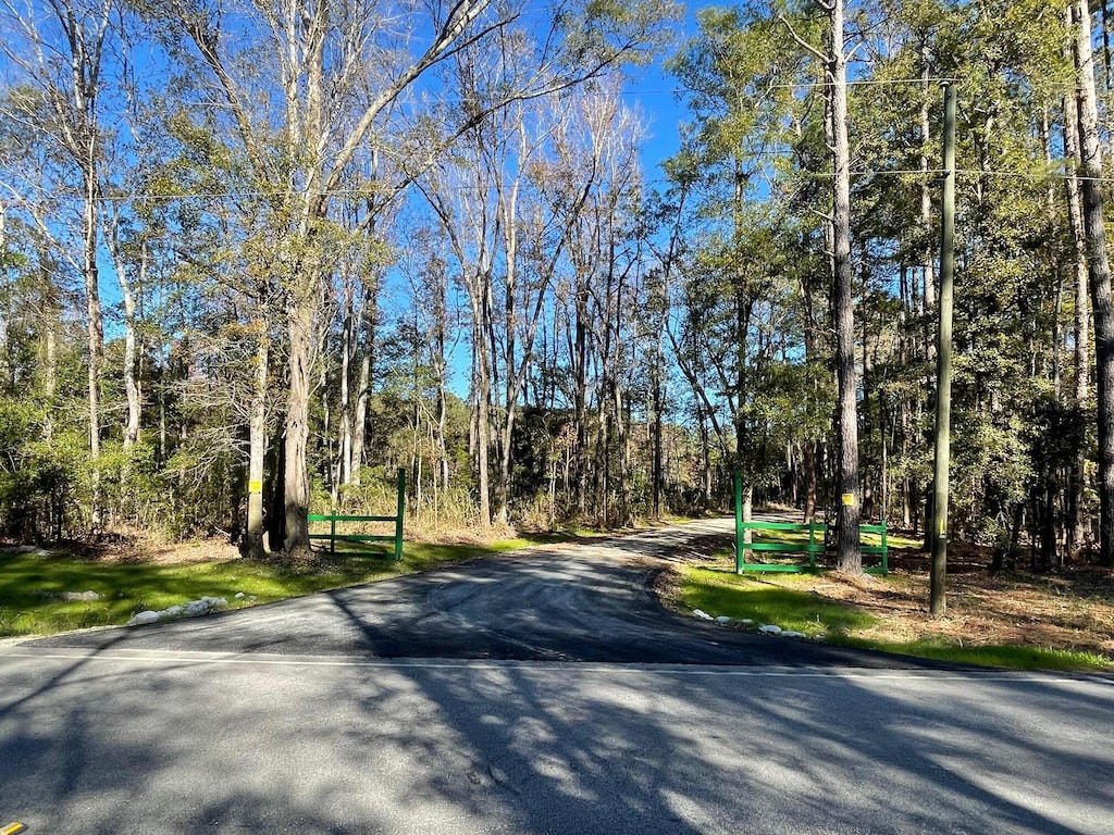 3 Fish Rd, Ridgeville, SC 29472