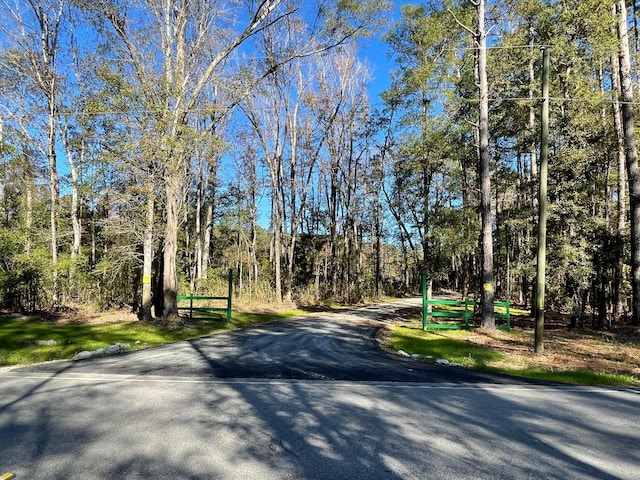 3 Fish Rd, Ridgeville, SC 29472