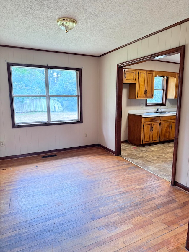 unfurnished living room featuring light wood-type flooring, a textured ceiling, and plenty of natural light