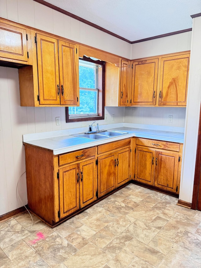 kitchen featuring crown molding and sink