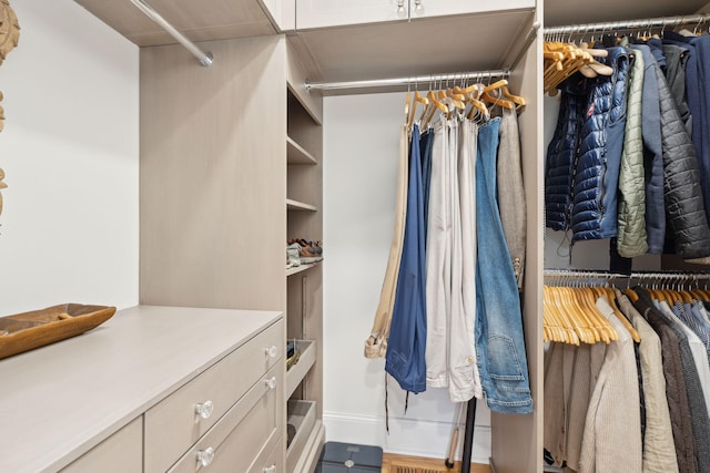 view of spacious closet