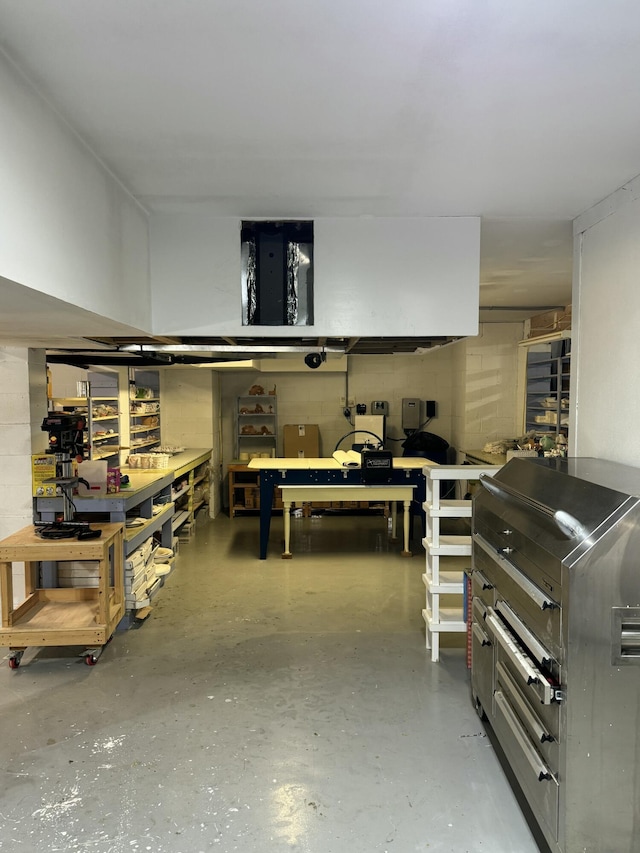 basement featuring a workshop area