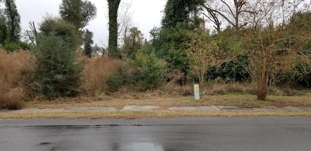 812 N Lemarks St, Walterboro SC, 29488 land for sale