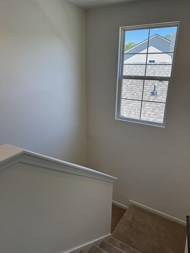 1208 N University Dr Unit A, Ladson, SC 29456 - stairway featuring carpet and baseboards