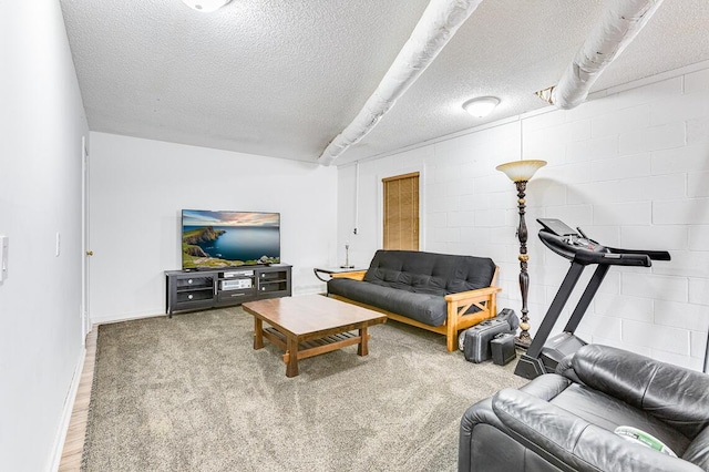 carpeted living room with a textured ceiling