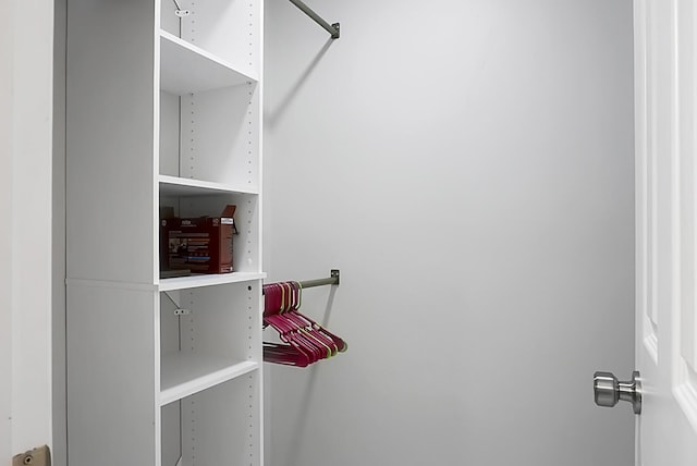 view of walk in closet