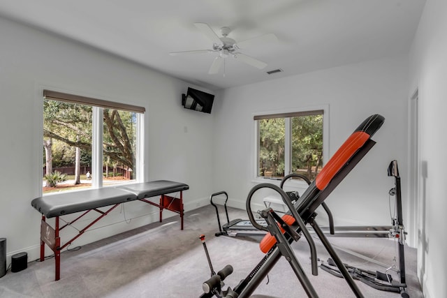 371 Live Palmetto Blf, Mount Pleasant, SC 29464 - workout area with light carpet and ceiling fan