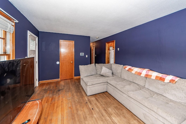 living room featuring hardwood / wood-style floors