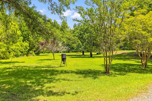 surrounding community with a yard