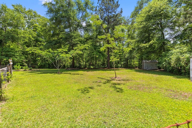 view of yard with a storage shed and an outbuilding