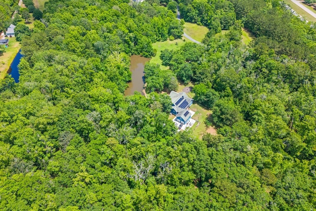 aerial view of a large body of water and a heavily wooded area