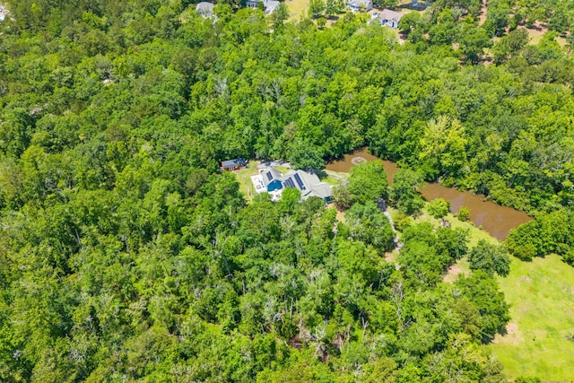 bird's eye view of a forest