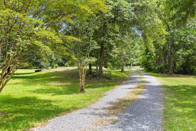 view of dirt / gravel road