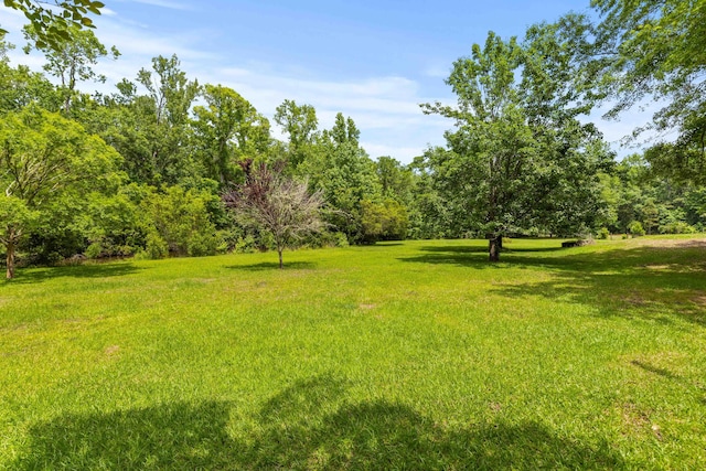 view of grassy yard