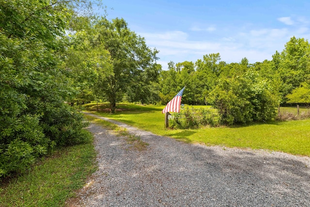view of dirt / gravel road with a wooded view