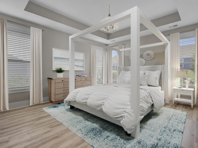 253 River Martin Ct, Summerville, SC 29483 - bedroom with baseboards, a tray ceiling, visible vents, and light wood-type flooring