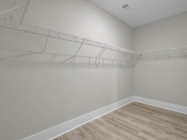 253 River Martin Ct, Summerville, SC 29483 - walk in closet with light wood finished floors and visible vents