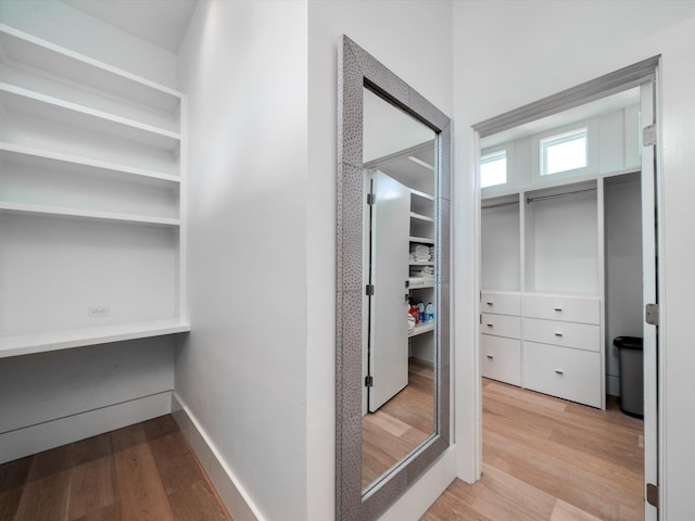 spacious closet featuring wood finished floors