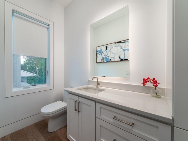 bathroom with vanity, toilet, and wood finished floors