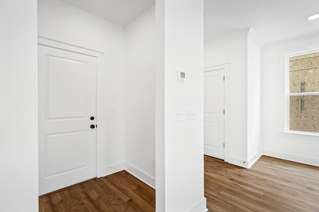 hall featuring wood-type flooring