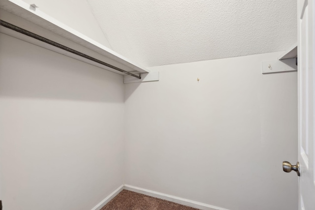 spacious closet with carpet