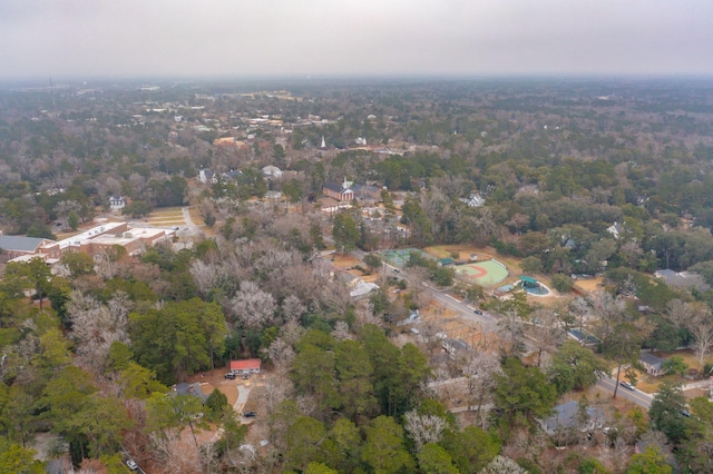 bird's eye view