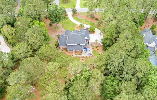 aerial view
