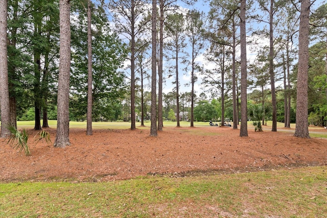 view of wooded area
