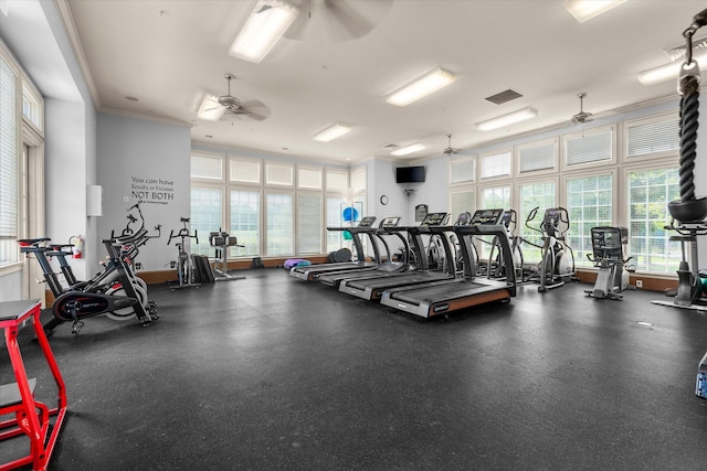 gym featuring ceiling fan, healthy amount of natural light, and crown molding